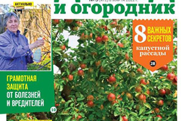 Ссылки на кракена и на мегу