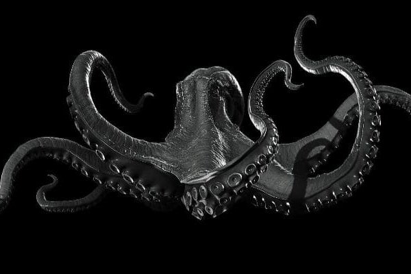 Kraken 17at