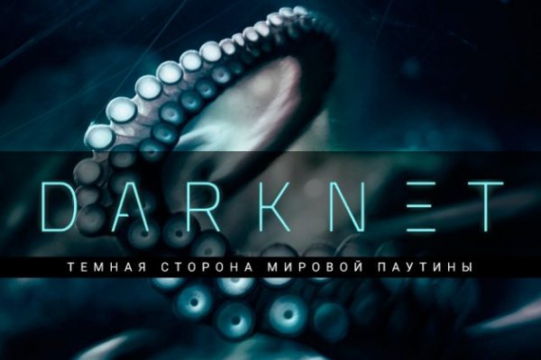 Kraken kraken link24 info