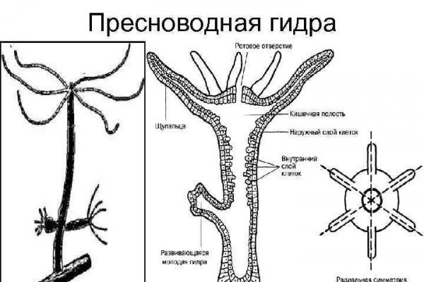 Kraken магазин