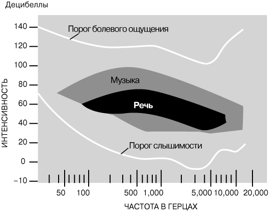 Что за маркетплейс кракен